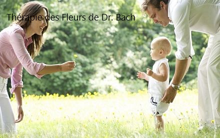 Fleurs Bach