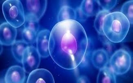 Balance Your Energies